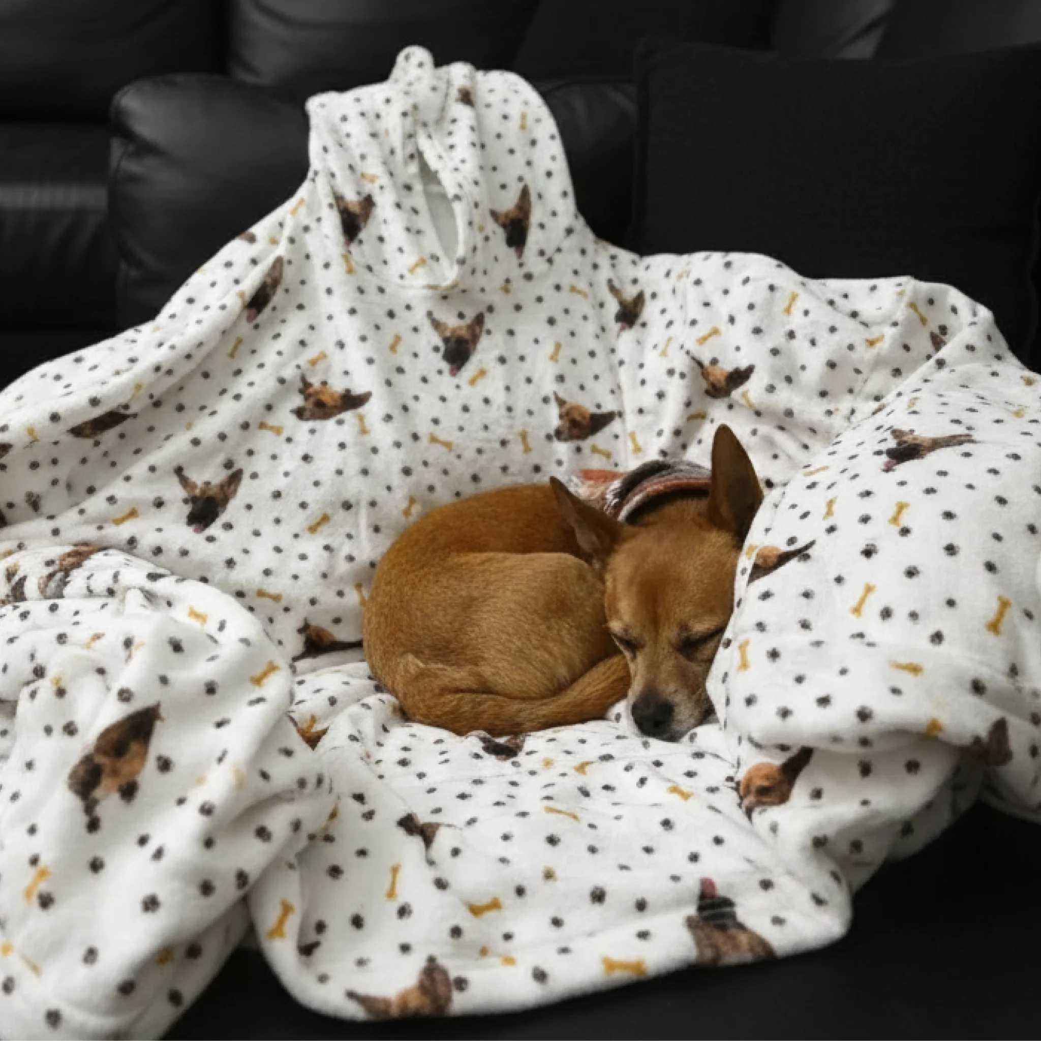 Thumbnail 21